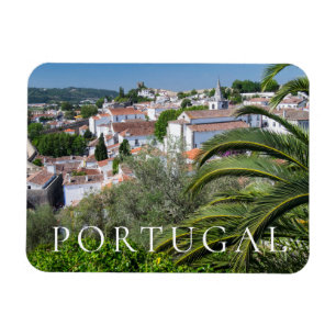 Stadtbild von Aveiro, Portugal Magnet