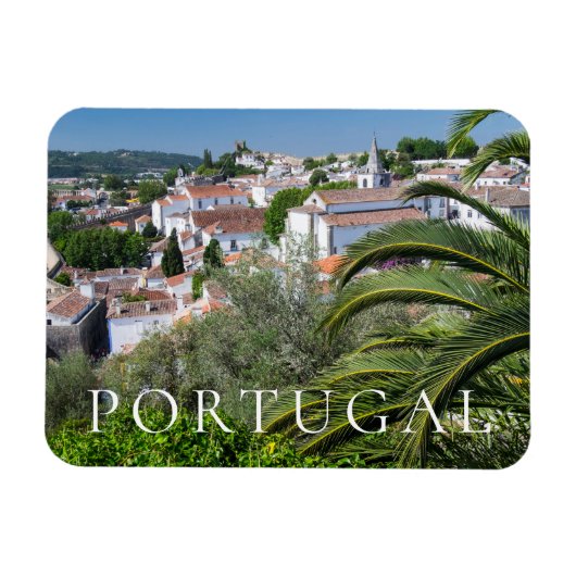 Stadtbild von Aveiro, Portugal Magnet (Horizontal)