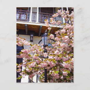 STADTBLOSSOM ~ Postkarte