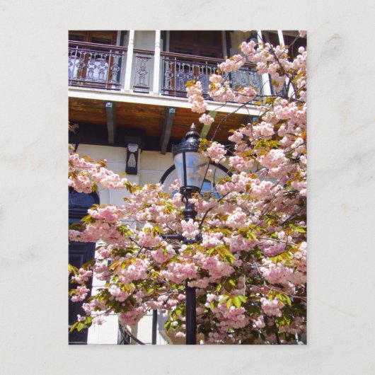 STADTBLOSSOM ~ Postkarte (Vorderseite)
