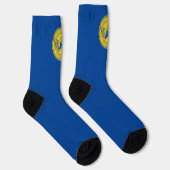 Stadtflagge Atlanta (Georgien) Socken (Rechts)