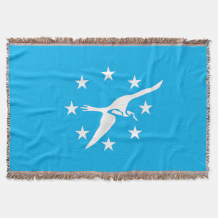 Stadtflagge Corpus Christi Decke