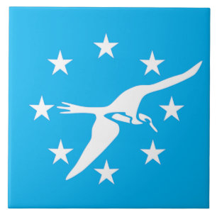 Stadtflagge Corpus Christi Fliese