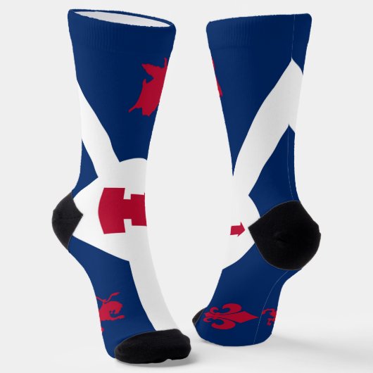 Stadtflagge Fort Wayne (Indiana) Socken (Gewinkelt)