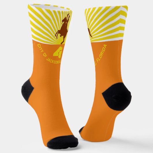 Stadtflagge Jacksonville (Florida) Socken (Gewinkelt)
