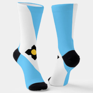 Stadtflagge Madison (Wisconsin) Socken