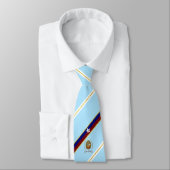 Stadtflagge San Antonio Siegel Neck Tie Krawatte (Gebunden)