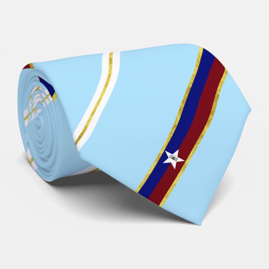 Stadtflagge San Antonio Siegel Neck Tie Krawatte (Gerollt)