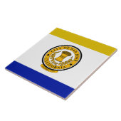 Stadtflagge San José Fliese (Seite)