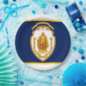 Stadtflagge Springfield (Massachusetts) Pappteller (Party)