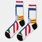 Stadtflagge Tampa (Florida) Socken (Linkes Detail)