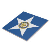 Stadtflagge von Houston Fliese (Seite)