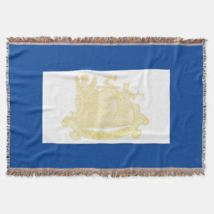 Stadtflagge von Newark Decke