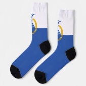 Stadtflagge von Orlando (Florida) Socken (Linkes Detail)