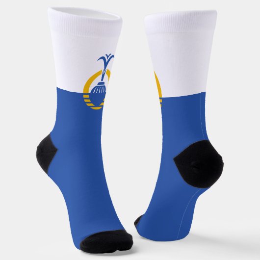 Stadtflagge von Orlando (Florida) Socken (Gewinkelt)