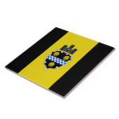 Stadtflagge von Pittsburgh Fliese (Seite)