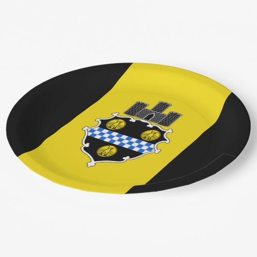Stadtflagge von Pittsburgh Pappteller (Schrägansicht)