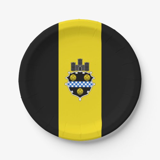 Stadtflagge von Pittsburgh (Pennsylvania) Pappteller (Vorderseite)