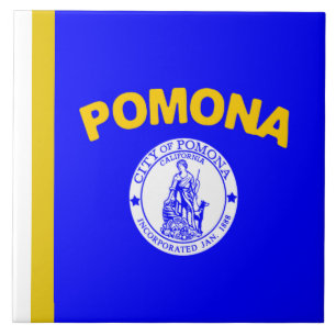 Stadtflagge von Pomona Fliese