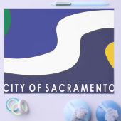 Stadtflagge von Sacramento Flyer (Einzeln)