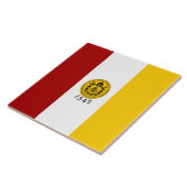 Stadtflagge von San Diego (Kalifornien) Fliese (Seite)
