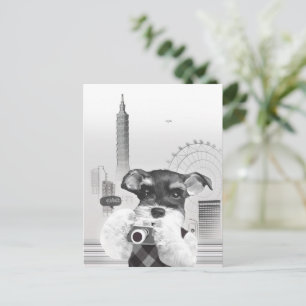 Stadtfotograf: Schnauzer in Taipeh Ankündigungspostkarte