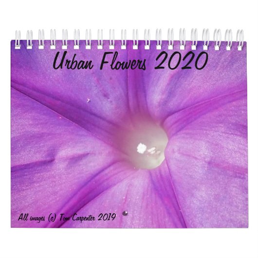 Städtische Blume 2020-Kalender Kalender (Titelbild)
