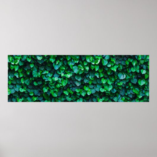 Städtische Dschungelgärtnerei Poster (Vorne)