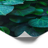 Städtische Dschungelgärtnerei Poster (Ecke)