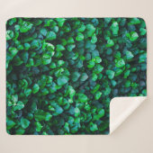 Städtische Dschungelgärtnerei Sherpadecke (Vorderseite (Horizontal))