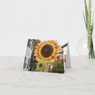 Städtische Gärten Notecard Karte