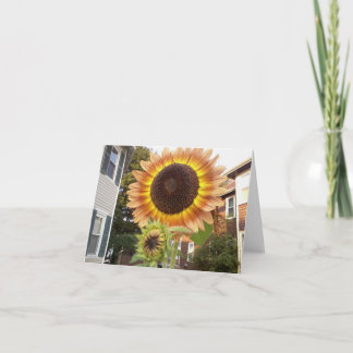 Städtische Gärten Notecard Karte