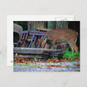 Städtische Integration Postkarte (Vorne/Hinten)