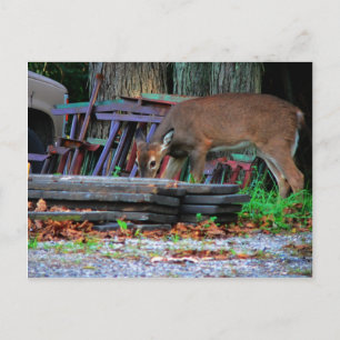 Städtische Integration Postkarte