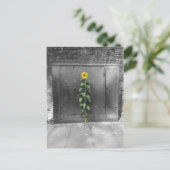Städtische Sonnenblume Postkarte (Stehend Vorderseite)