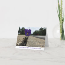 städtische Wildblume danke