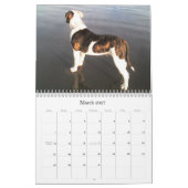 Städtischer Doo Abbruch Kalender (Mär 2027)