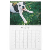 Städtischer Doo Abbruch Kalender (Feb 2027)