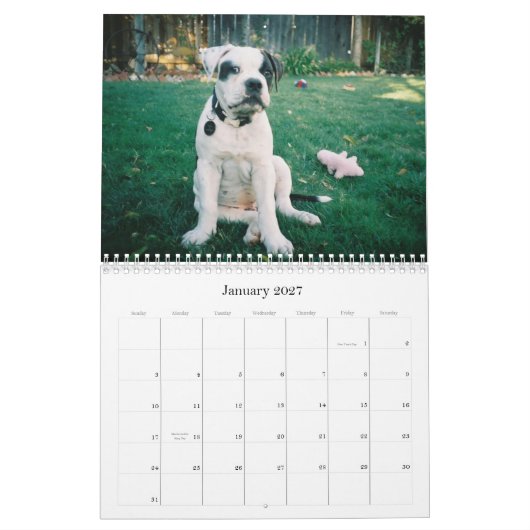 Städtischer Doo Abbruch Kalender (Jan 2027)