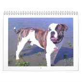 Städtischer Doo Abbruch Kalender (Titelbild)