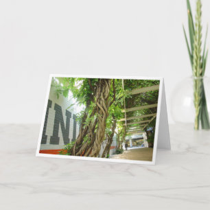 Städtischer Dschungel Karte