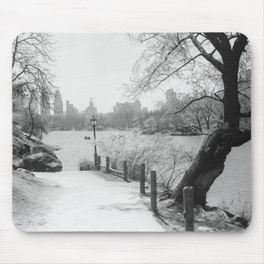 Städtischer Park mit ruhigem See Mousepad (Vorne)