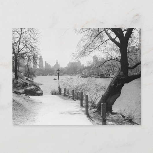 Städtischer Park mit ruhiger See Postkarte (Vorderseite)