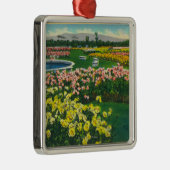 Städtischer Rosen-Garten in Santa Clara County Silbernes Ornament (Rechts)