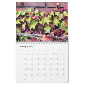 Städtischer rustikaler Wandkalender des Efeu-2011 (Jan 2027)