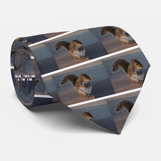 Städtisches Eichhörnchen Krawatte (Gerollt)
