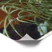 städtisches Gras Poster (Ecke)