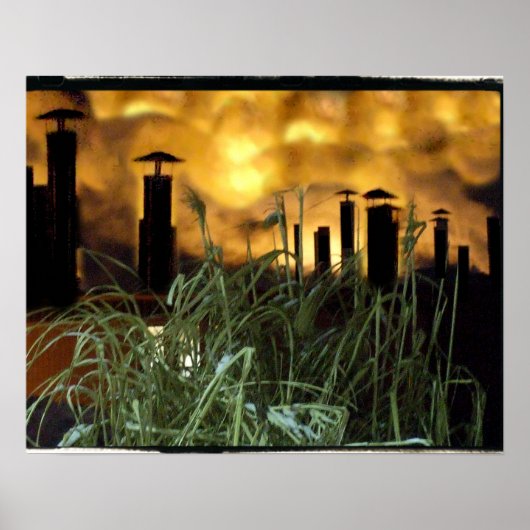 städtisches Gras Poster (Vorne)