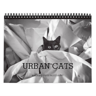 Städtisches Katzen-Schwarzweißfotografie Kalender