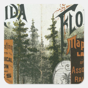 Stadtplan, Florida Quadratischer Aufkleber